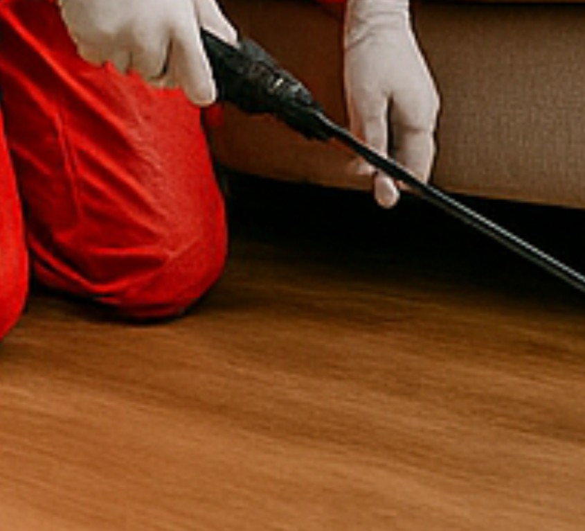 منشور شائع 1