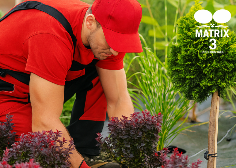 Landscaping and Agricultural Works