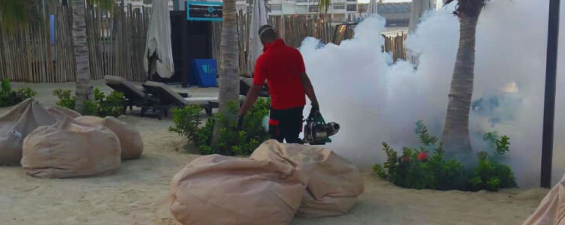 The importance of spring pest control