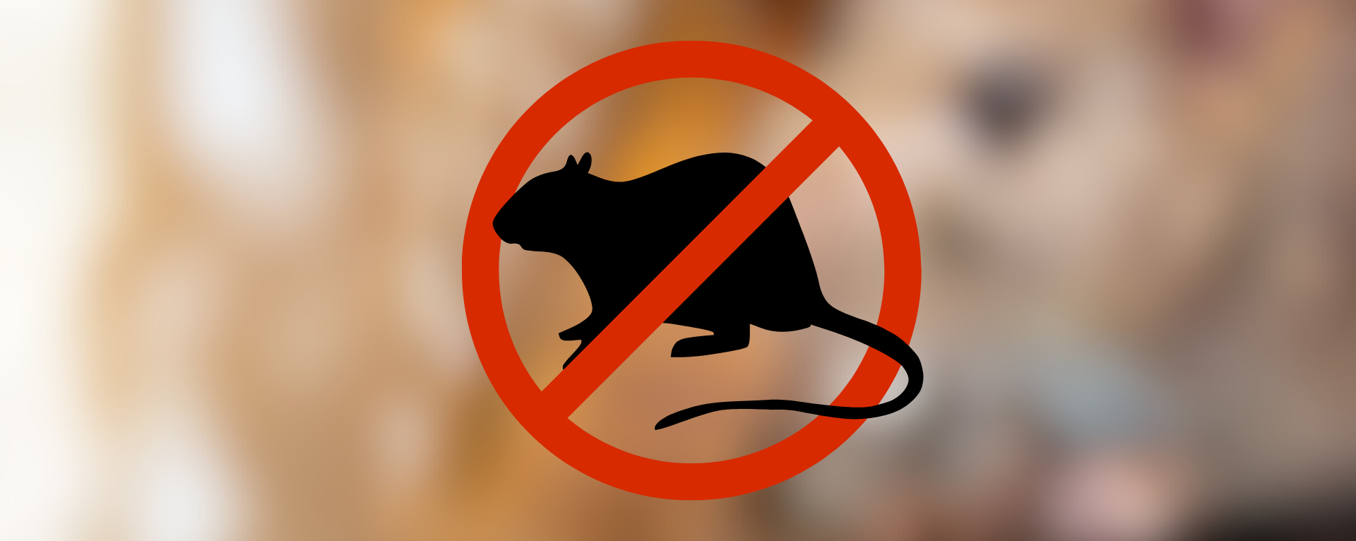 How to get rid of mice