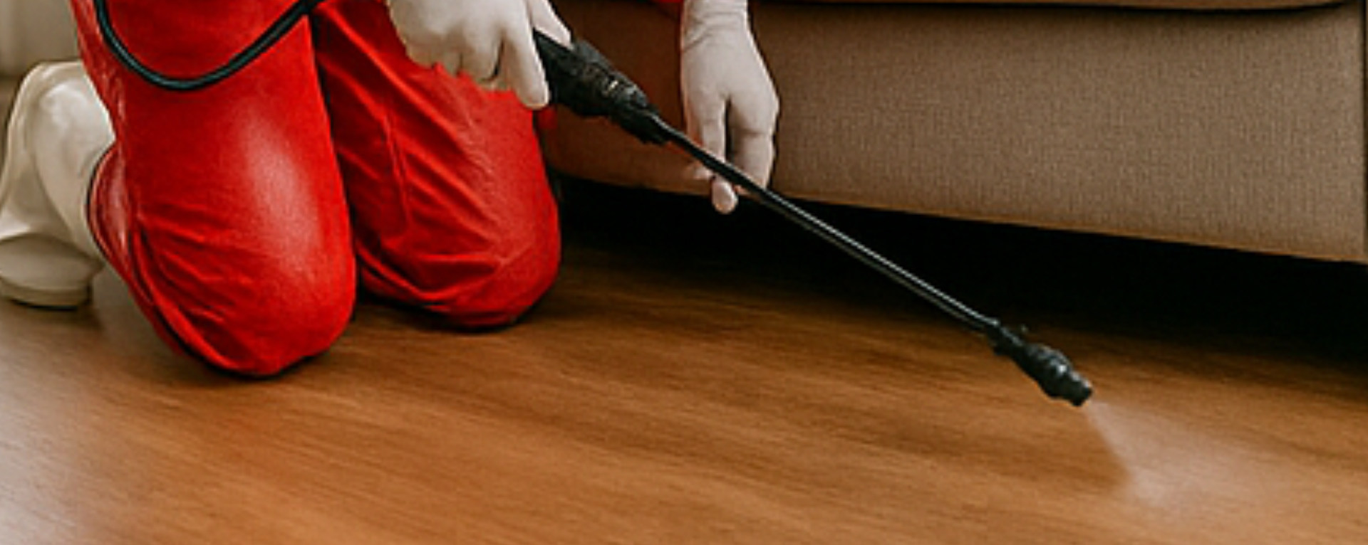 Protecting a home from tiny invaders